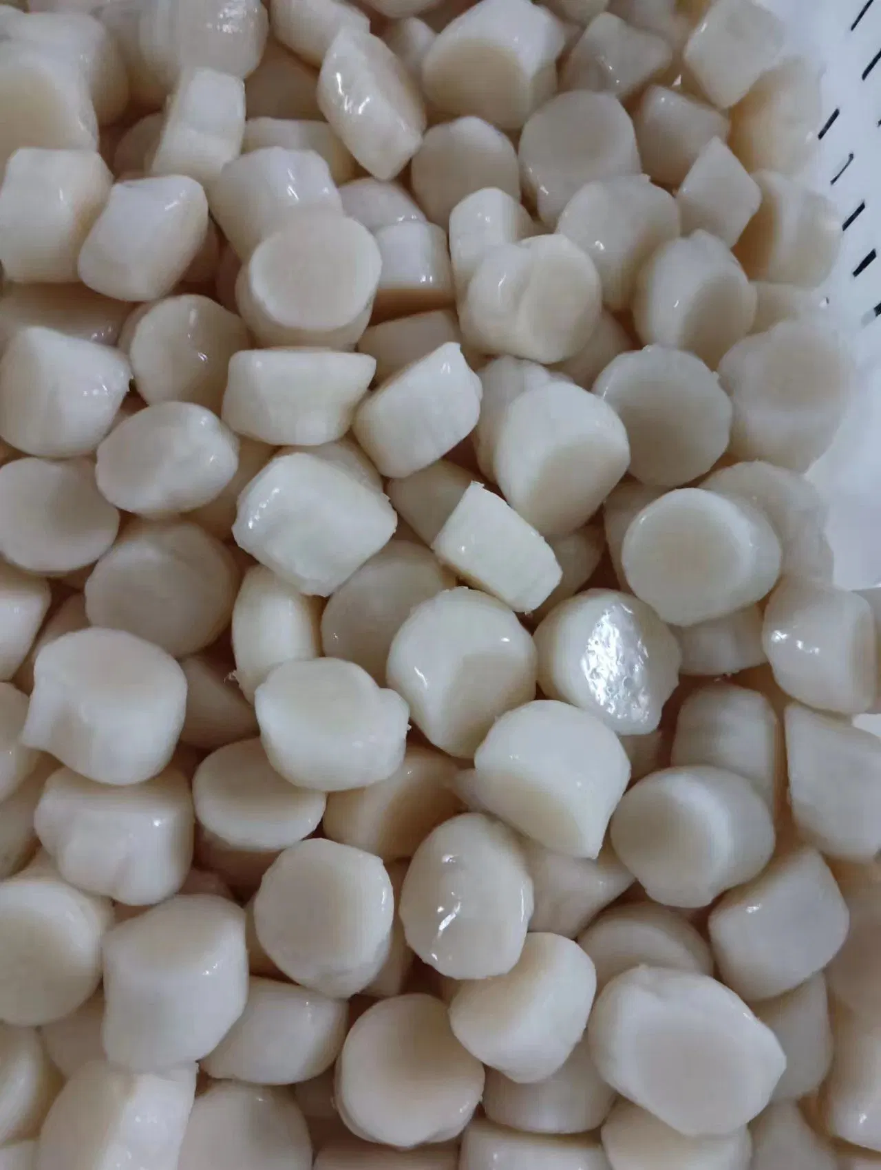 Frozen Seafood High quality/High cost performance  Boiled Delicious Scallop Meat