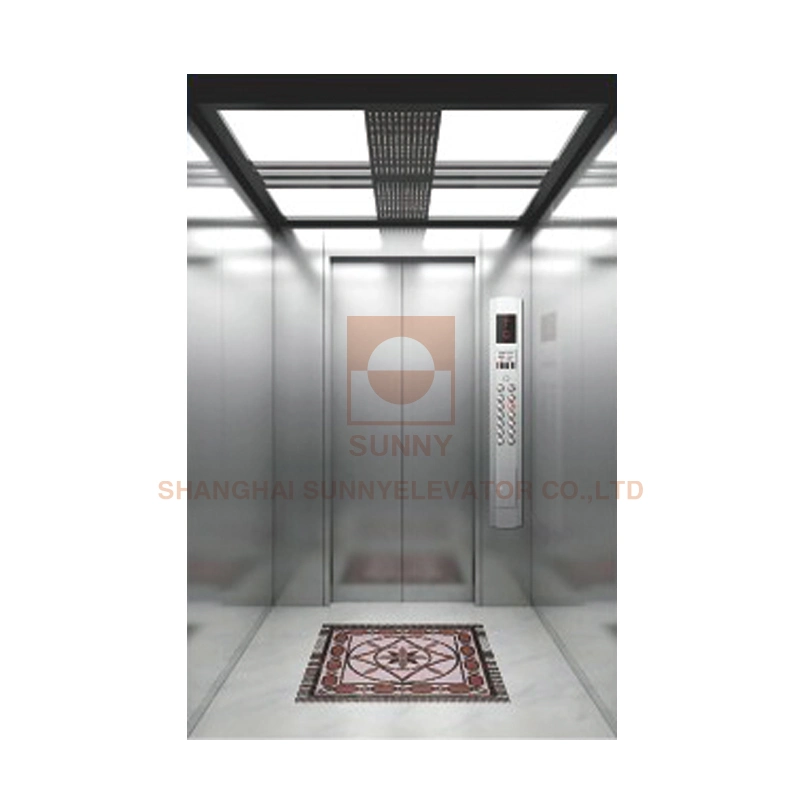 Hochwertige Wohn-Aufzug 800kg Kapazität Aufzug Personenaufzug