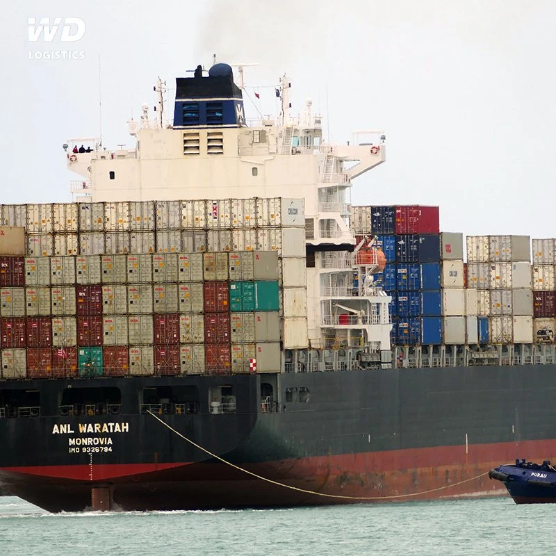 China Competitive sea Freight to Saudi Arabia o Wholesale/Supplier Jeddah Servicio de Agente