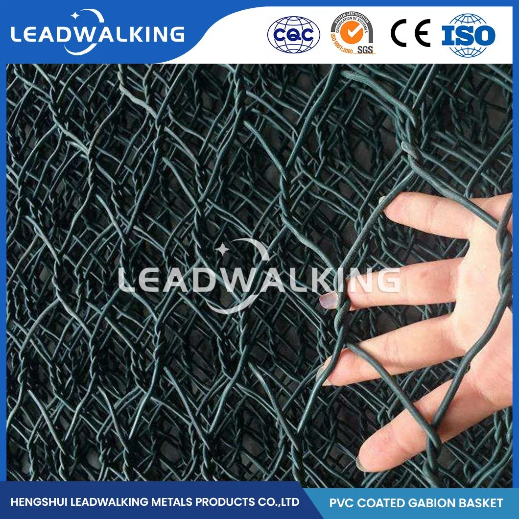 Leadwalking 2.0*0,5*0,5 Gabion de metal de tamaño de la fábrica de la jaula de malla con revestimiento de plástico Anticorrosivo Gabion Hexagonal China 60x80mm recubierto de plástico de malla Gabion Net