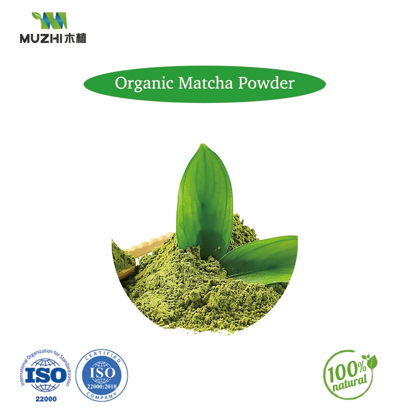 Matcha Powder Natural Herbal Plant Extract