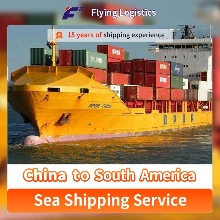 Cost Effective Ocean Shipping Agent, From China to South America/Peru/Chile/Argentina Sea Freight Service