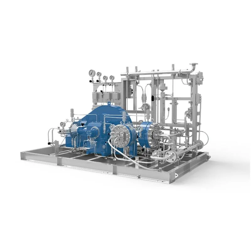 New Invention High-Capacity Argon Gas Compressor for Gas Packaging