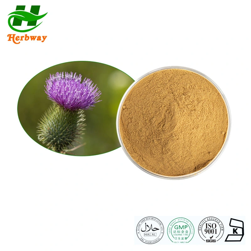 Extracto botânico certificado para o Kosher Halal FSSC Silybatizado Milk Thistle Extract Silybum Marianum (L.) Gaerth