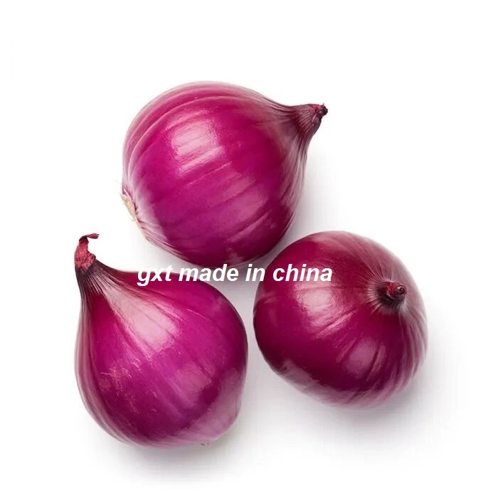 Fresh Oignons Shallot Peeled Onion Red Yellow White Organic Onion Chinese Onions Suppliers