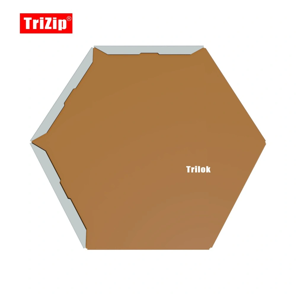 Trilok Metal Roofing imbriquées, revêtement mural, façade hexagone Shingle tile -TD224