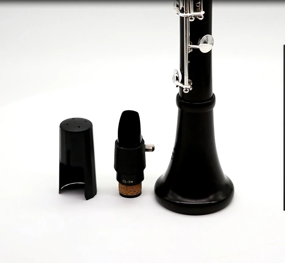 Good Plastic Body C Clarinet Cheap Price