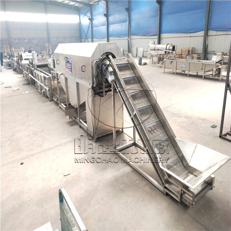 Rotary Drum Packaging Bags/Fruit High Pressure Washing Machine