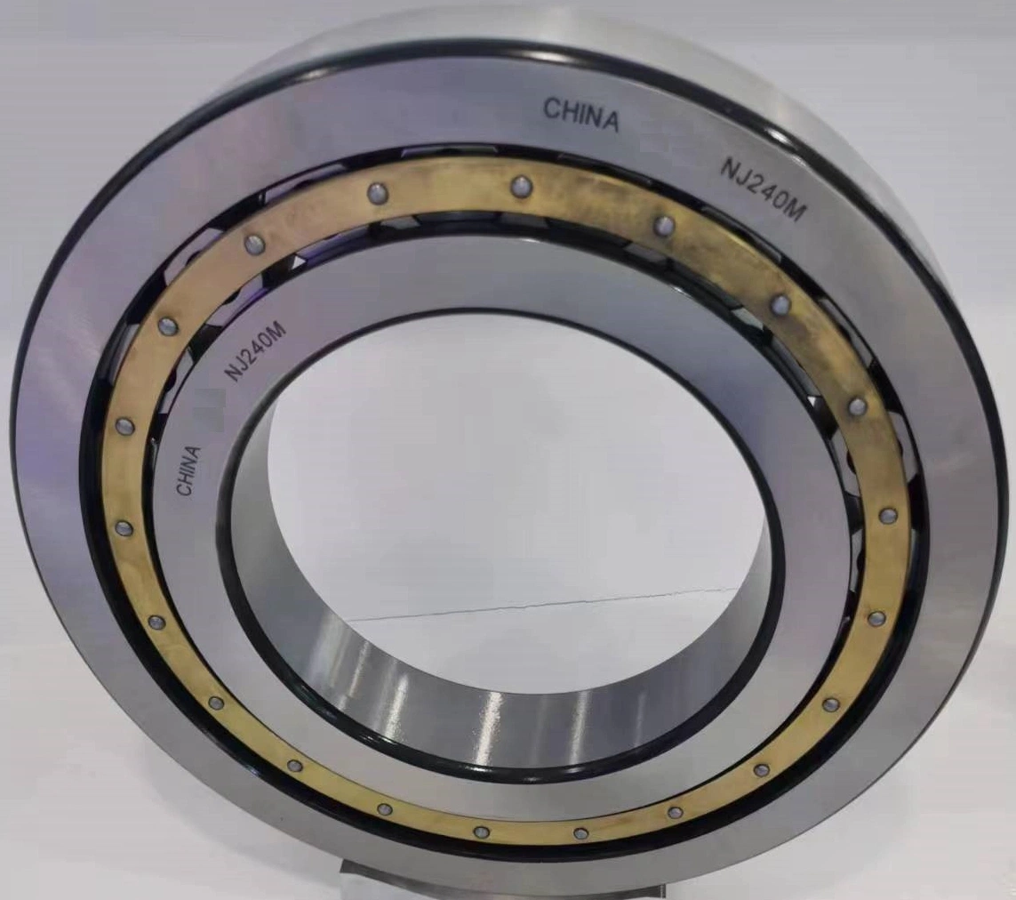 Single Row Cylindrical Roller Bearing for Motors Rolling Vehicles N Series