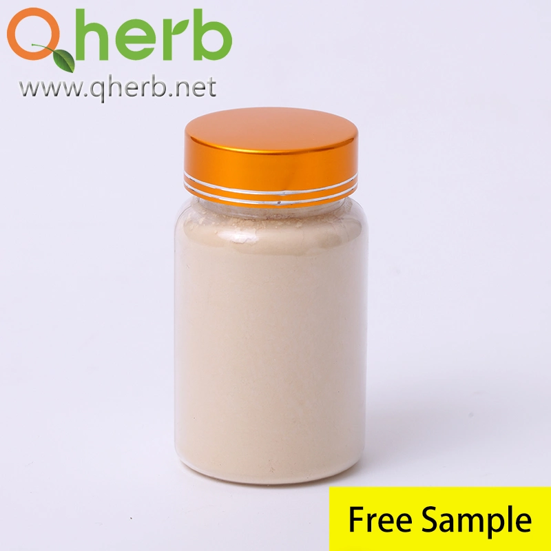 Herb Herbal Extract Natural Ginseng Root Extract Powder Immune-Enhancing in Functional Food