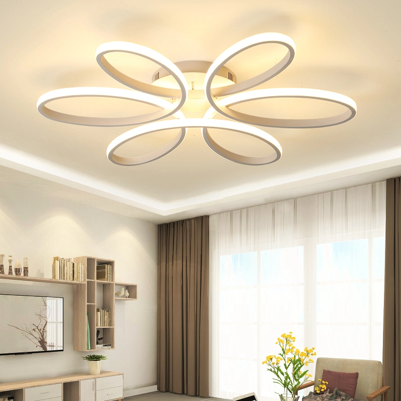 White Black Bedroom Ceiling Light for Indoor Home Lighting Fixtures Wh-Ma-65