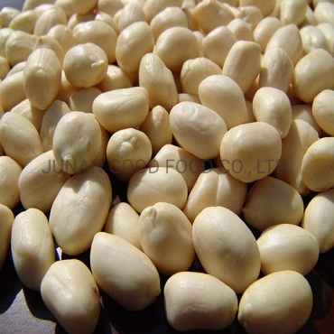 New Crop Raw Factory Blanched Peanut