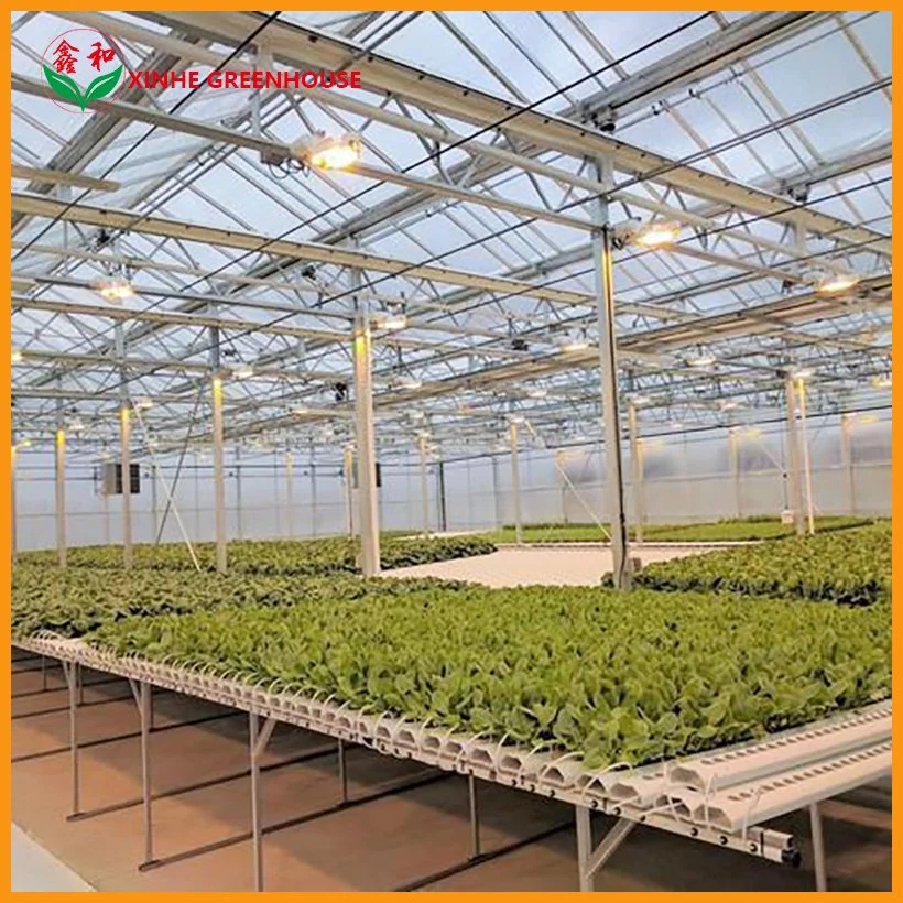 Vegetable Tunnel Multi-Span Glass Greenhouse From Factory