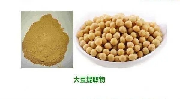 E. K Herb Plant Extract Manufacturer 12 Years Experiences Suppley Food Natura Soybean Isoflavone Soybean Extract 20%-80% Soy Isoflavones Powder with Top Quality