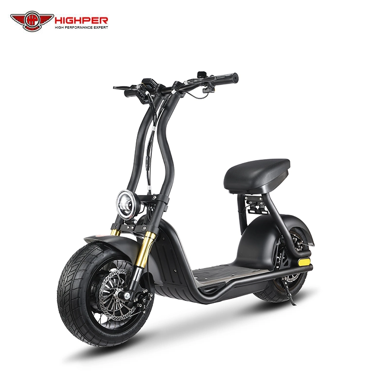 Adulto Fat Tire Electric 2-Wheel Electric Scooters off Road 800W 48V