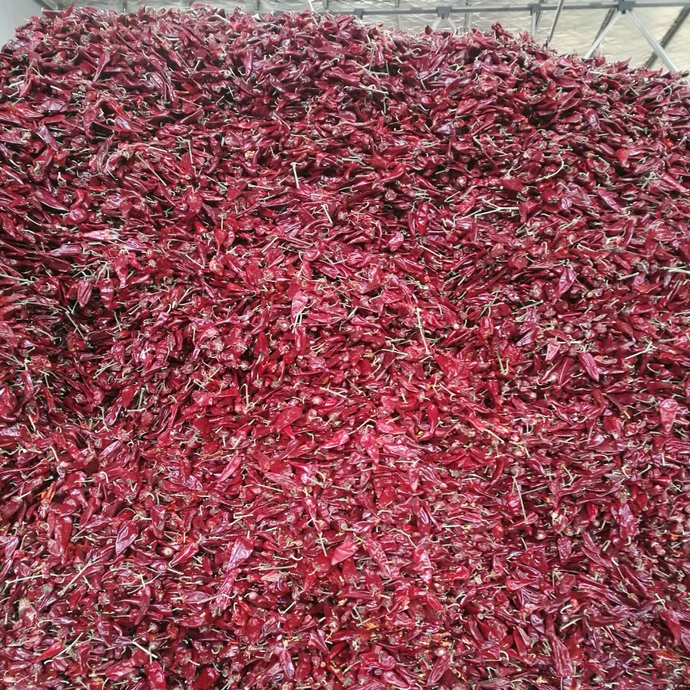 Factory Supply Good Quanlity Dried Yidu Chilli