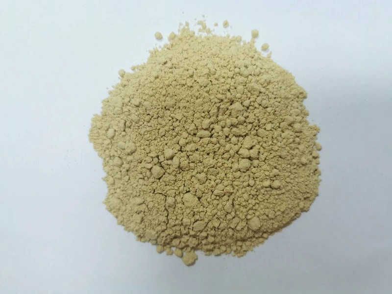 Ginger Powder with Bright Color