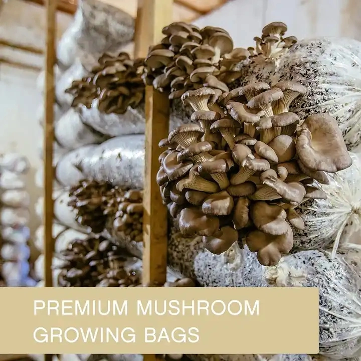 Wholesale/Supplier Durable Autoclavable Mushroom Cultivation Growing Bags Farm Mushroom Grow Spawn Bags with Micron Filter