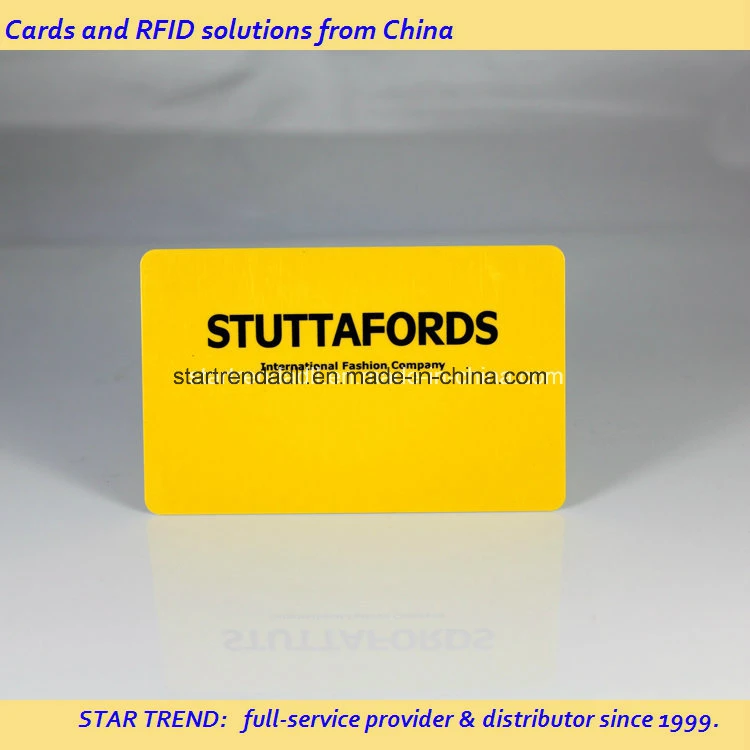 Pantone Color with Magnetic Strip for ID Card