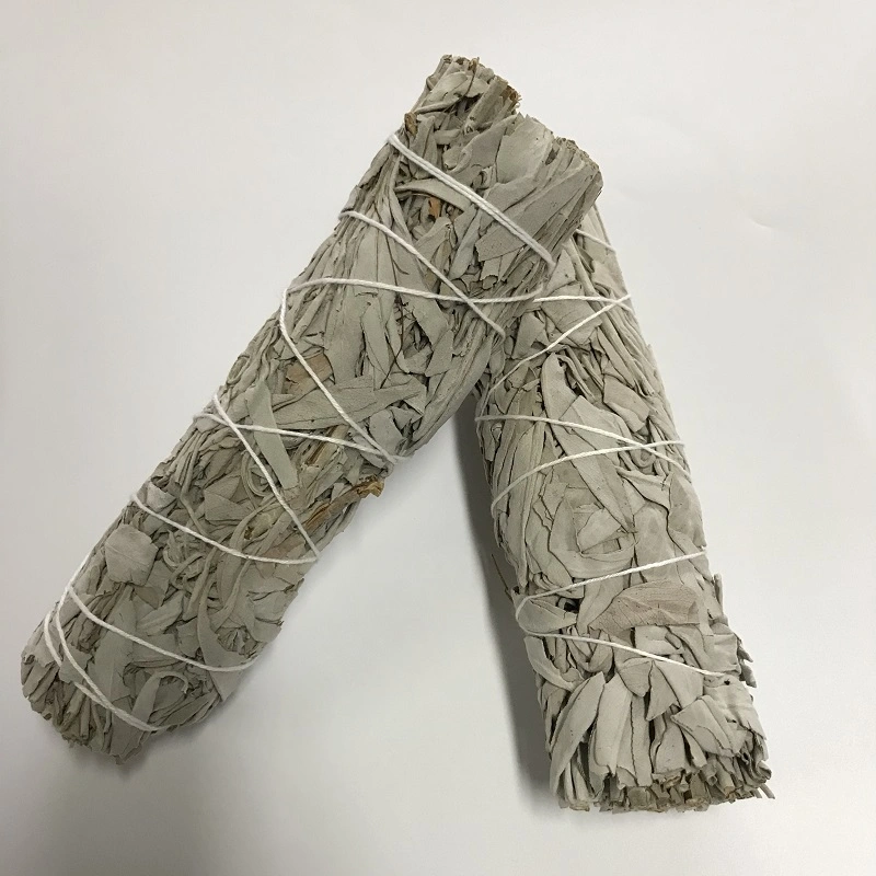 Wholesale/Supplier Organic Dried Leaves White Sage Smudge Stick for Incense