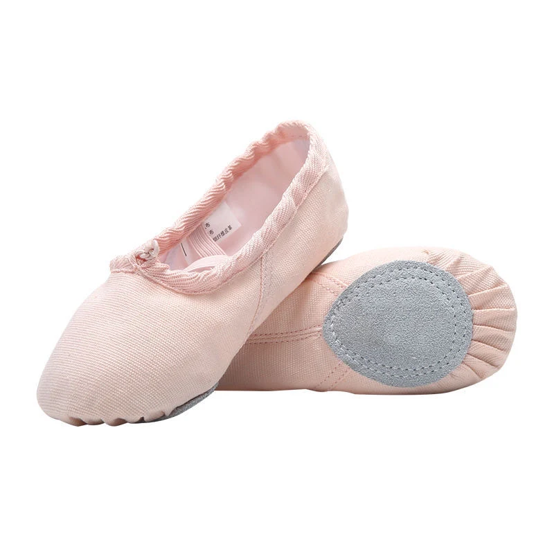 Canvas Training Cat Claw Lace-up Soft Ballet Dance Shoes for Women