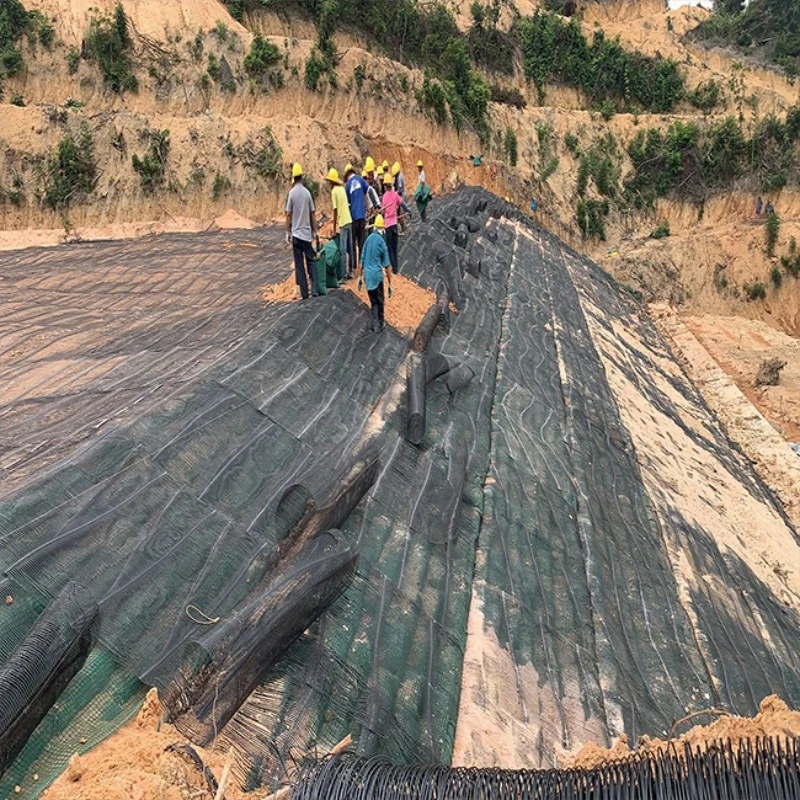 Para retenção Wallhigh resistência PP/HDPE uniaxial plástico Geogrid