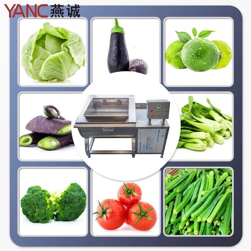 Ginger Garlic Powder Making Machine Ginger Washing Machine Price