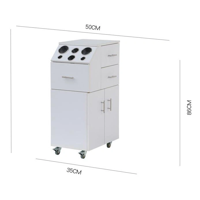 Factory Wholesale/Supplier Economic Hair Salon Hairdressing Trolley Cart