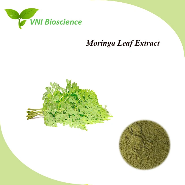 Kosher Halal Certified 100% Natural Moringa Powder Moringa Leaf Extract