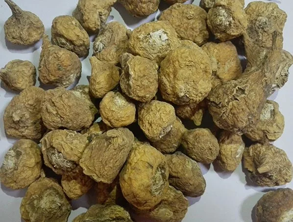 Suplemento Maca polvo de extracto de raíz de Maca negro orgánico para hombres