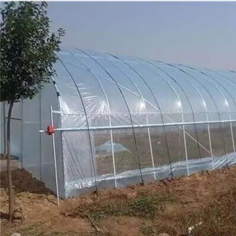 Affordable Personalized Hot-Rolled Garden Shed Multi Span Steel Structure Tunnel Greenhouse