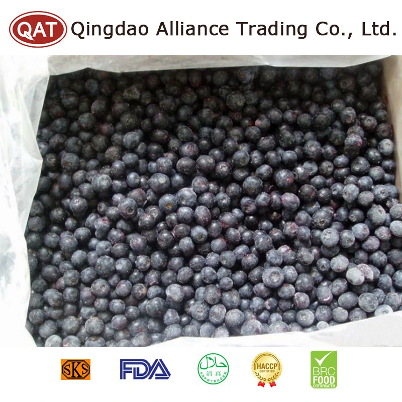 Natural Organic Frozen Blueberry with Good Price IQF and Brc Certificate