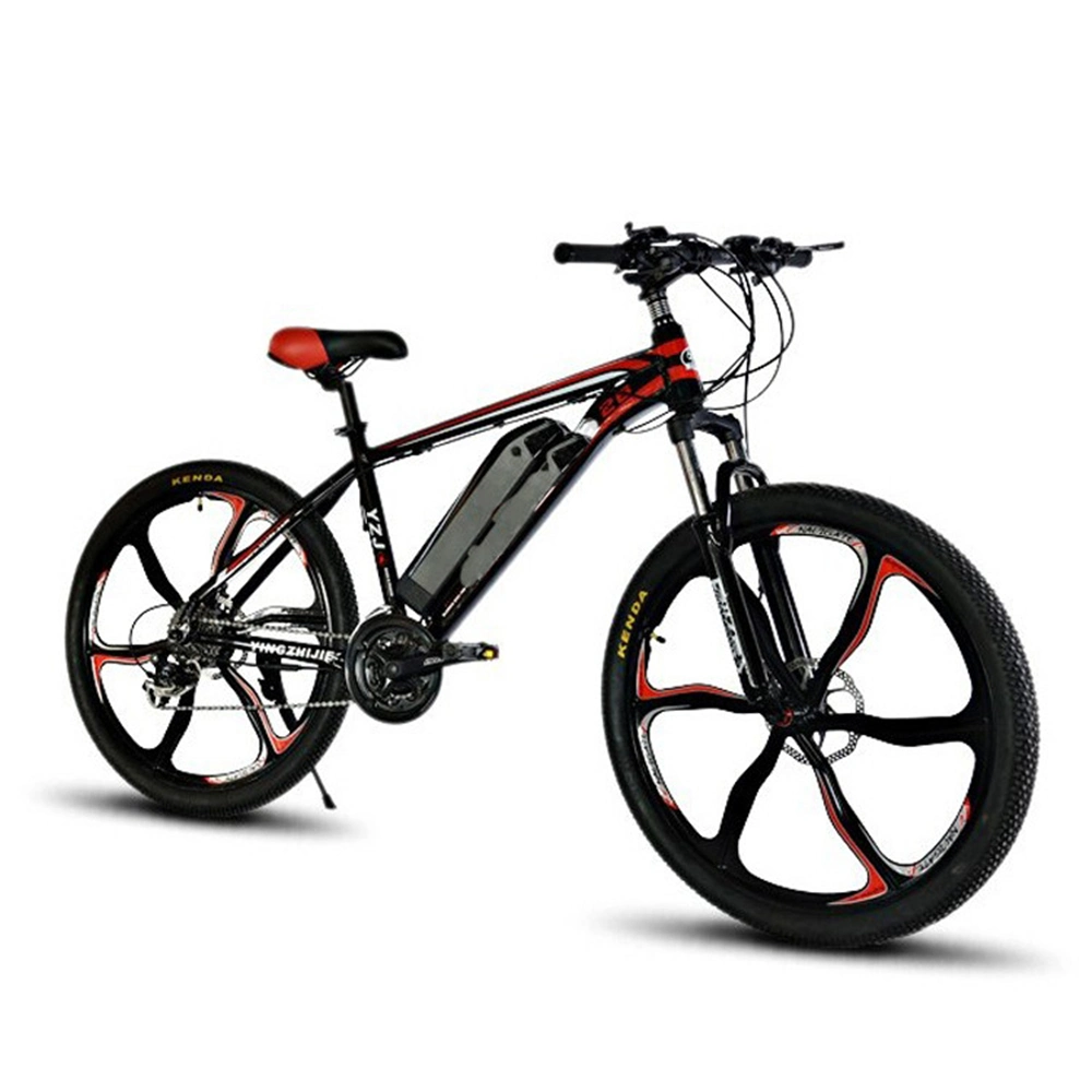 Wholesale/Supplier China 2020 Hot Sale 48V 1000 Watt Mountain E Bike Electric Bicycle