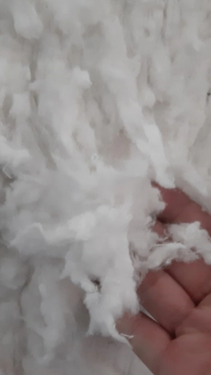 Fibre de coton biologique brute - couleur naturelle