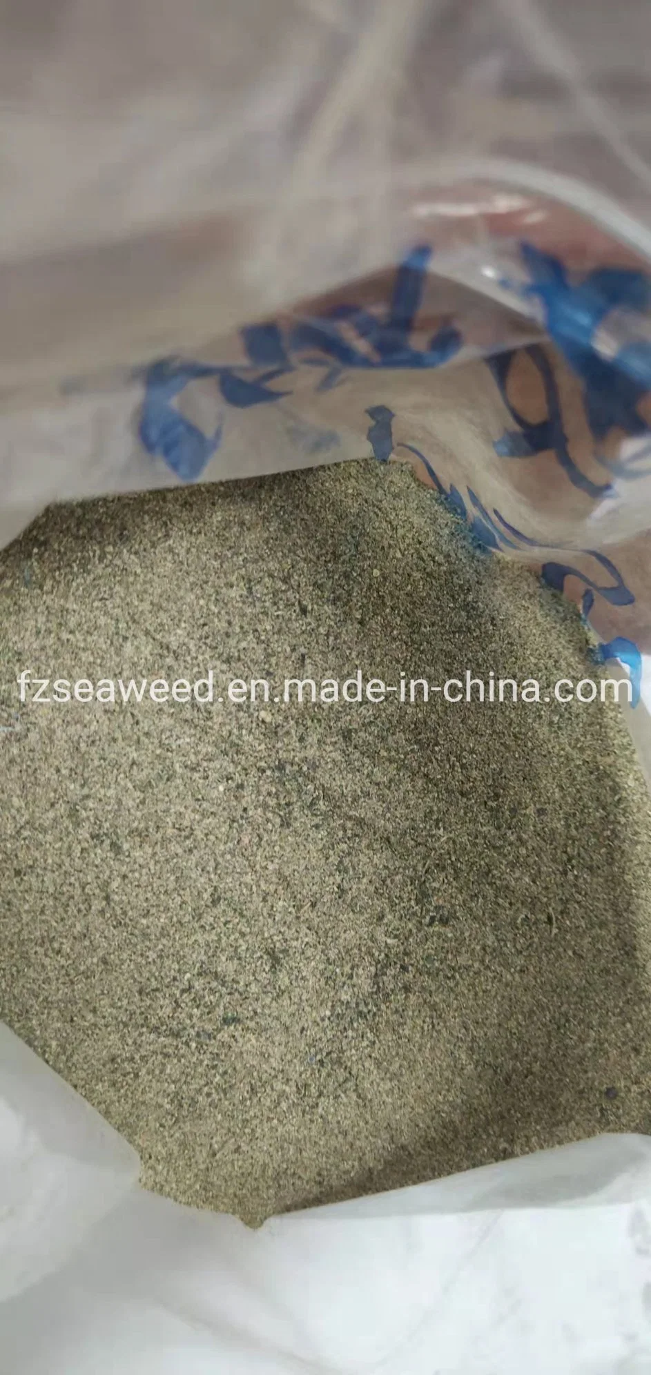 Green Kelp Powder Plant Extract for Food