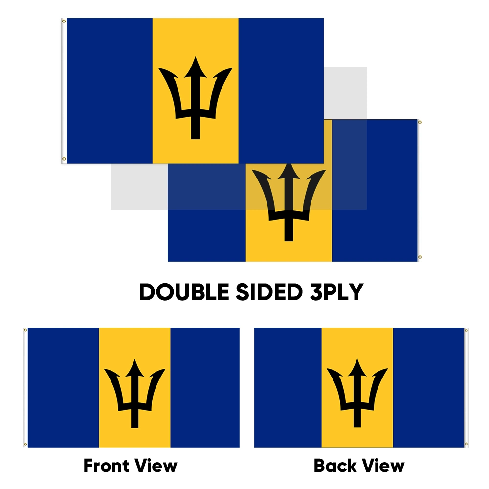 Custom 2*3FT 3*5FT 4*6FT Double Sided Barbados Country Car Banner Stick Flag