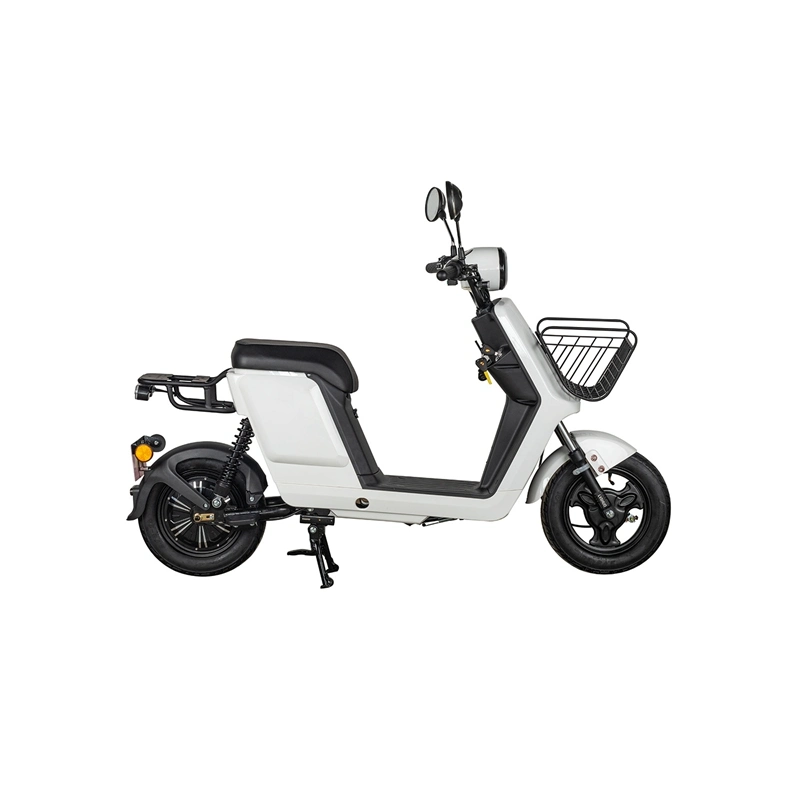 Powerful High Speed Practical Delivery 2 Wheel Bicycle Citycoco Moped Electric Scooter