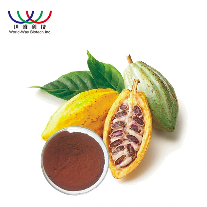 Professional Factory Supply Pure Natural Plant Extract 10% 20% Theobromine Cocoa Extract Powder