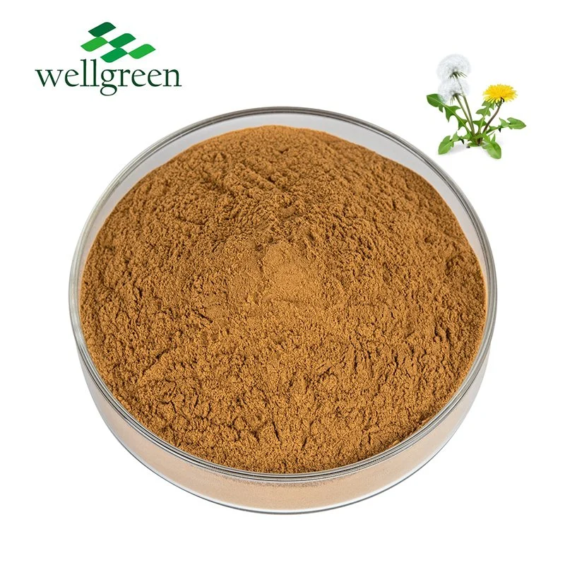 Порошок Dandellion завод цветы оптовая торговля Dendelion корни Herba Taraxaci П. E Dandelion Root Extract