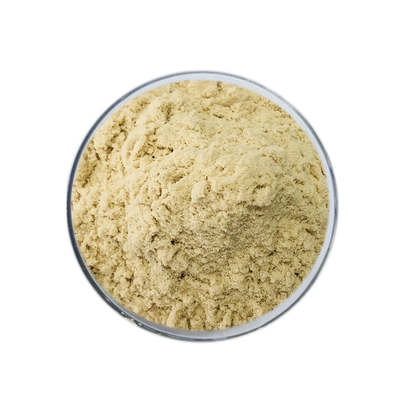 Argc Non-GMO Food Additives 90% Soy Protein Isolate Powder for Meat Processing