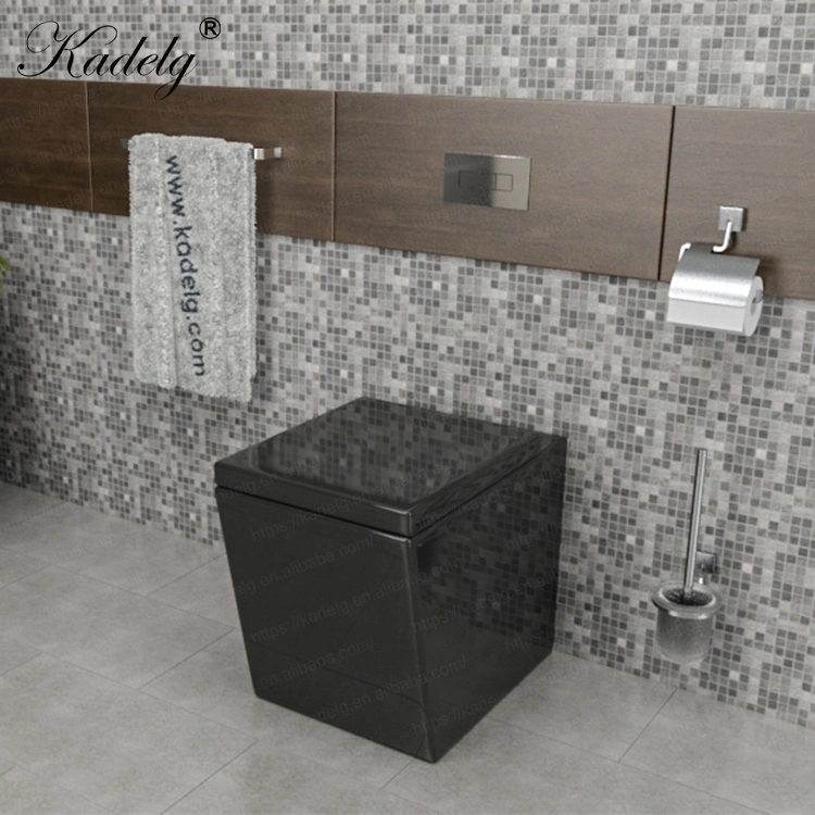 Rimless Ceramic Sanitary Ware Bathroom Black Wall Mounted Toilet Bowl