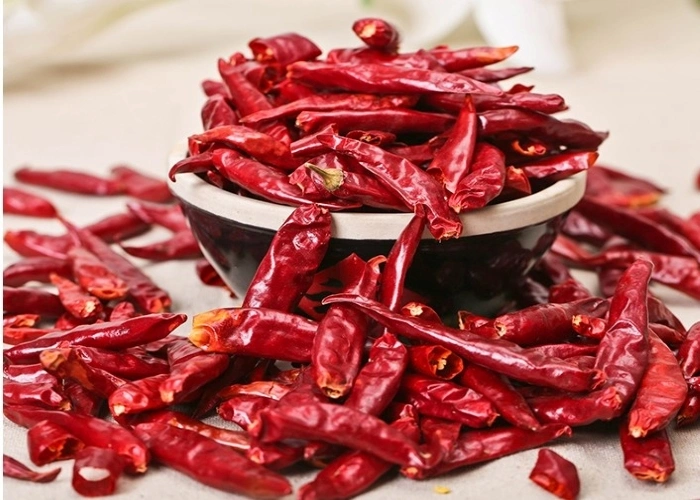 Hot Selling Dry Chilli/Chaotian Chilli in China