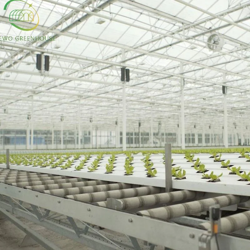 Jardim Agrícola moderno estufa de vidro multi-span com Cooling Pad / sistema hidropônico Para legumes/morango