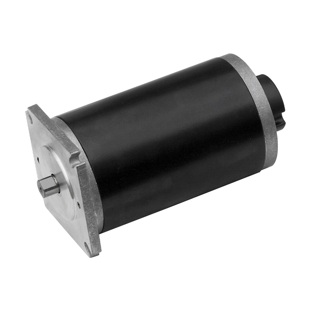 5000rpm, 24V, 300W IP67 Fuel Pump Pm DC Motor