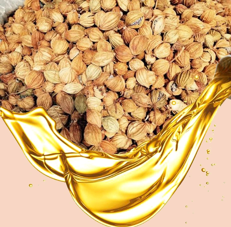 Fragrant Amomum Oil Plant Extract