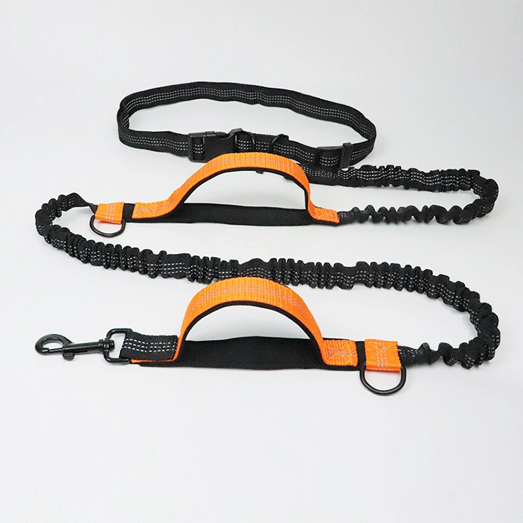 Pet Leash Multifunctional Running Reflective Double