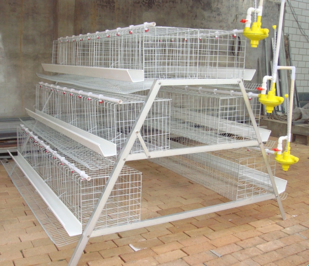 Full Automatic Layer Chicken Cage Steel Cage for Sale