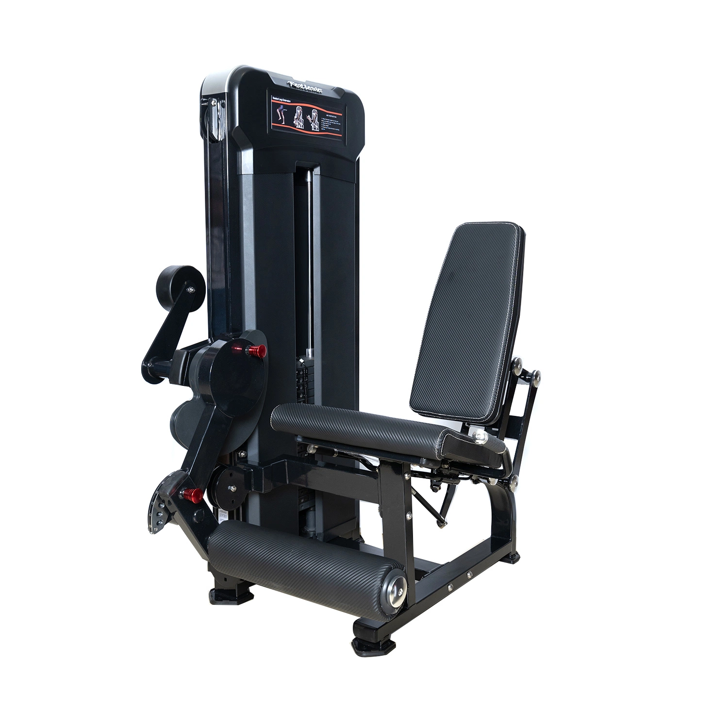 Realleader High-End Gym Equipment for Leg Extension Extension (M3-1005)