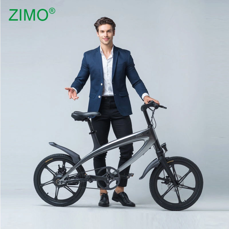 36V Aluminum Alloy Mini Commute 240W E Bike for adults