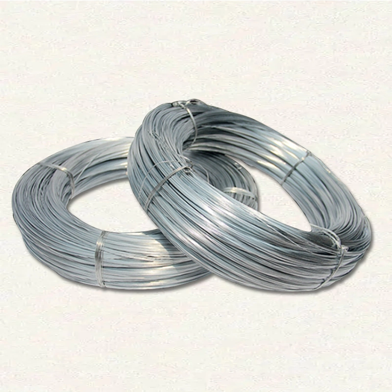 Galvanized Steel Cold Heading Hardware Stainless Steel Spring Wire with Mesh CE Certificate